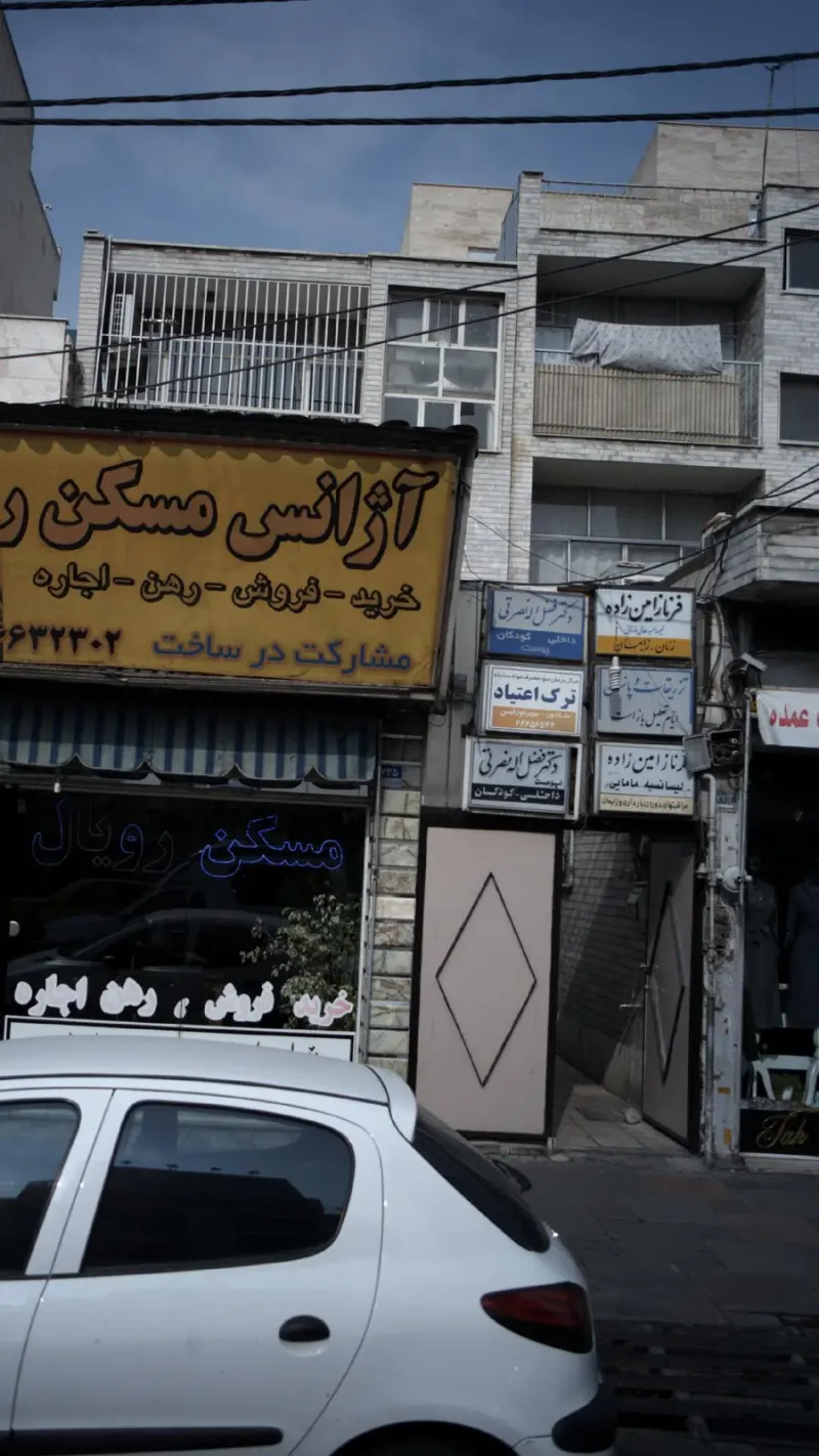 فرناز امین زاده