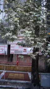 انستیوتو روانکاری تهران
