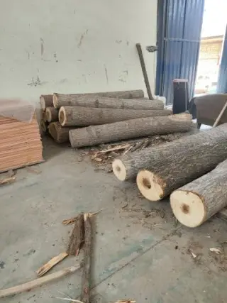 کارخانه روکش زنی چوب قربان زاده