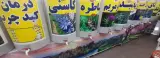 گلاب و عرقیجات گیاهی ستایش