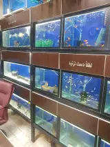آکواریوم ماراناتا