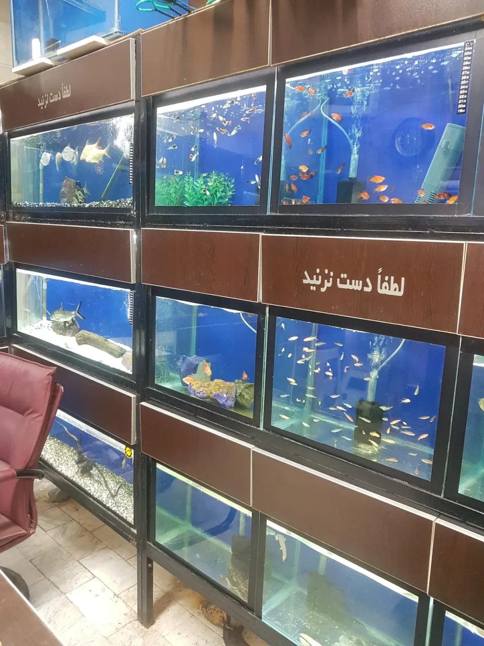 آکواریوم ماراناتا