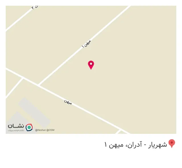 کفش همراه اسپرت