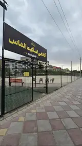 آکادمی اسکیت الماس