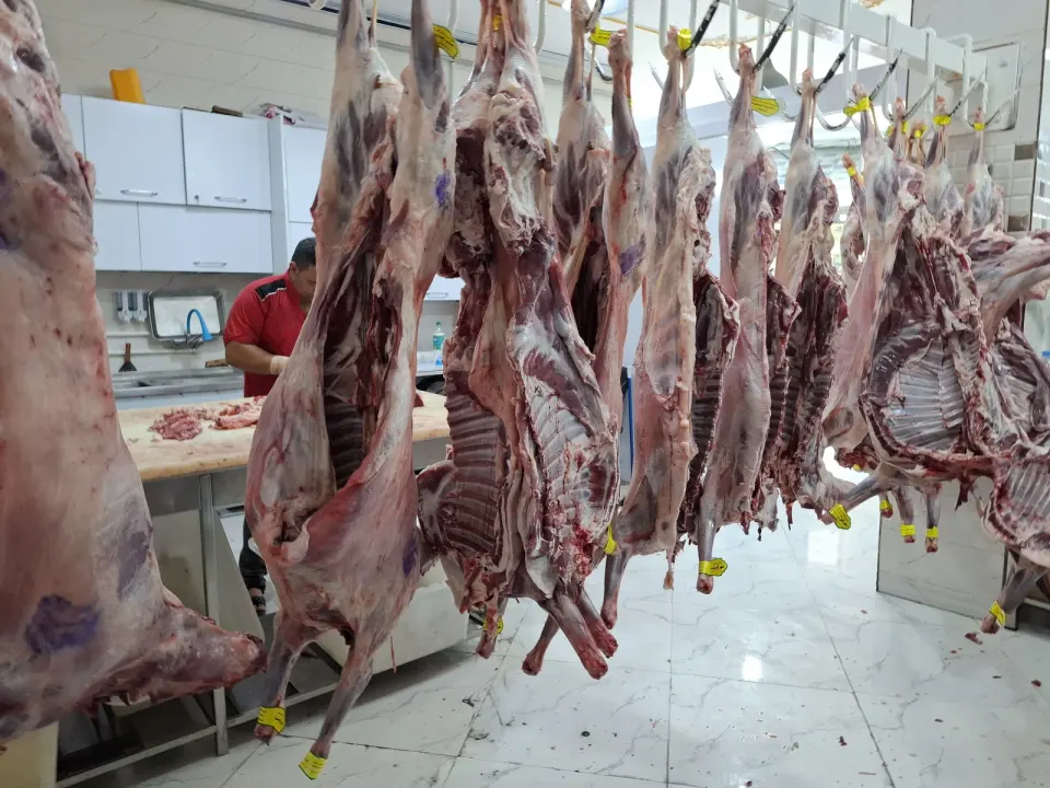 فروشگاه شهر گوشت