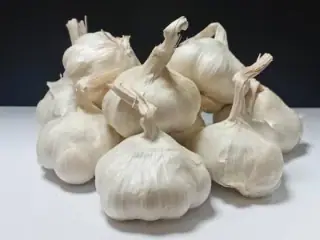 فروش سیر کاپ