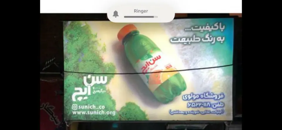 پخش موادغذایی مولوی
