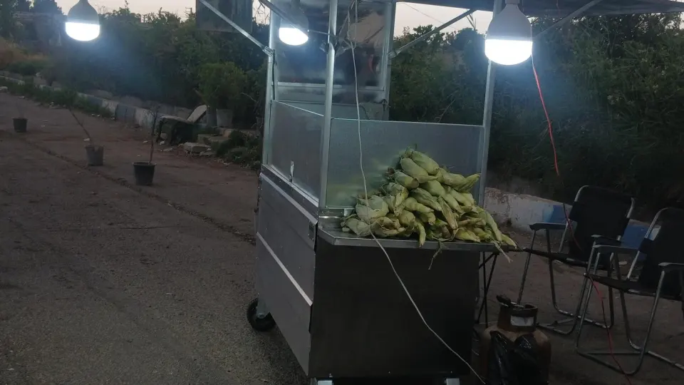 باغ محمدزارعی