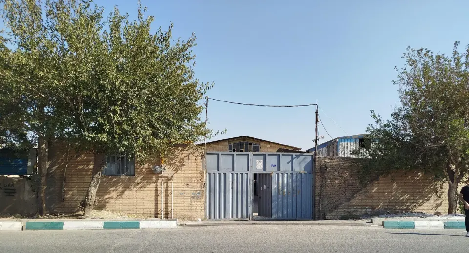 کفش پایار