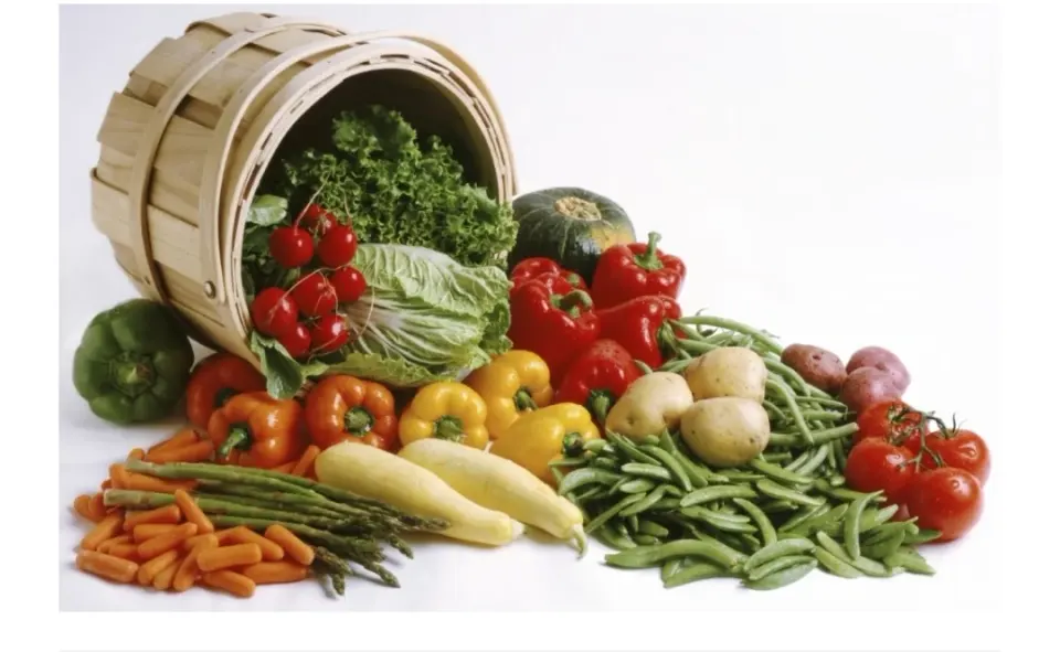 سبزی خرد کنی پونه سبز