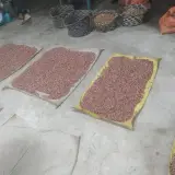 تولیدی اجیل و خشکبار آرمان