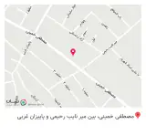 پخش کفش ولیعصر و