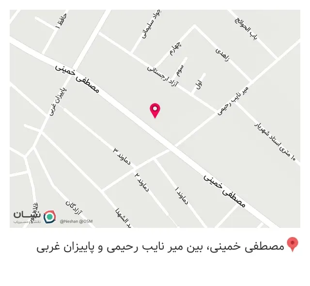 پخش کفش ولیعصر و