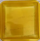 گروه تولیدی بسته بندی پک ایران
