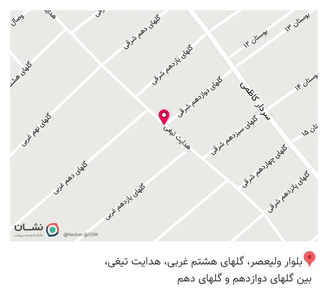 کامپیوتر پارسه