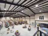 شرکت پخش کربن موتور سیکلت آسیا