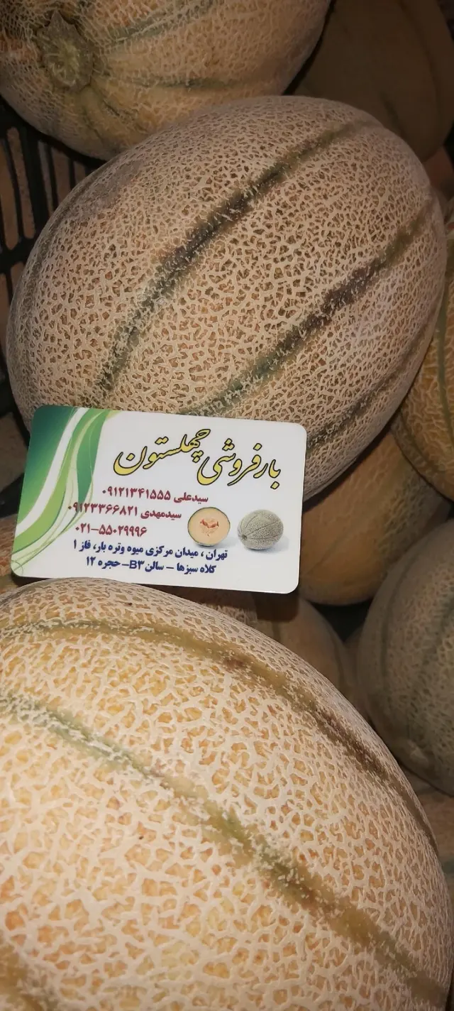 بار فروشی سید علی چهلستونی و پسران