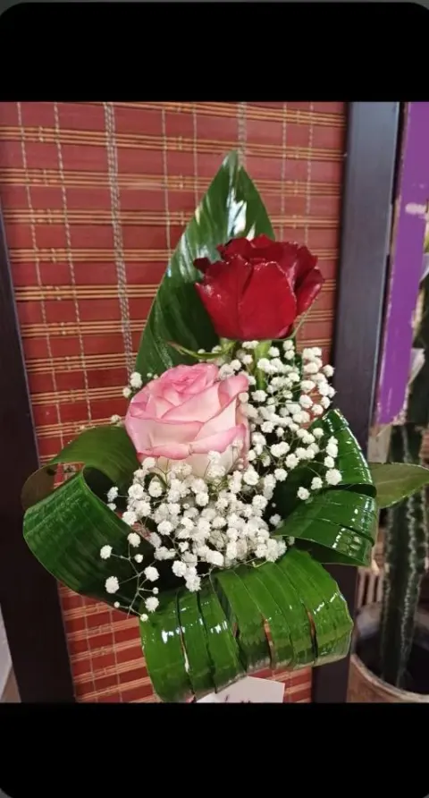 گل مانوشاک