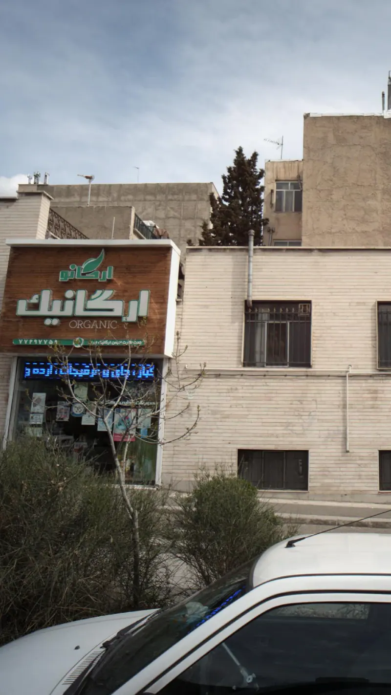 ارگانو ارگانیک