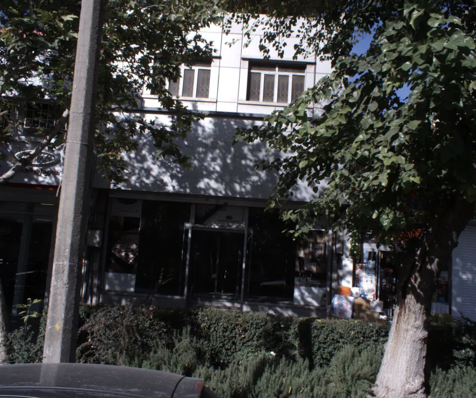 شرکت فرش ثمین