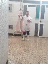 انبار مرغ مجید