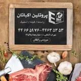 پروتئین اکباتان