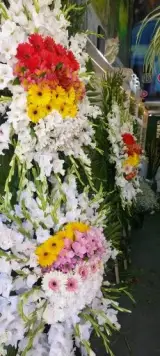 گلسرای کاتالیا