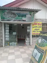 برنج آستانه