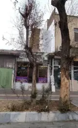 مشاور املاک ماهروئی
