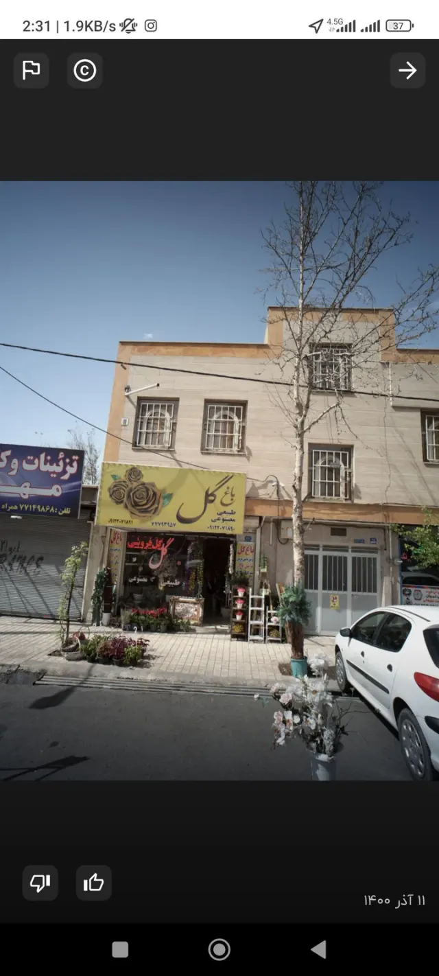 گل فروشی یاس