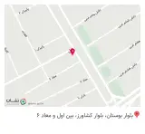 نانو کارواش داریوش