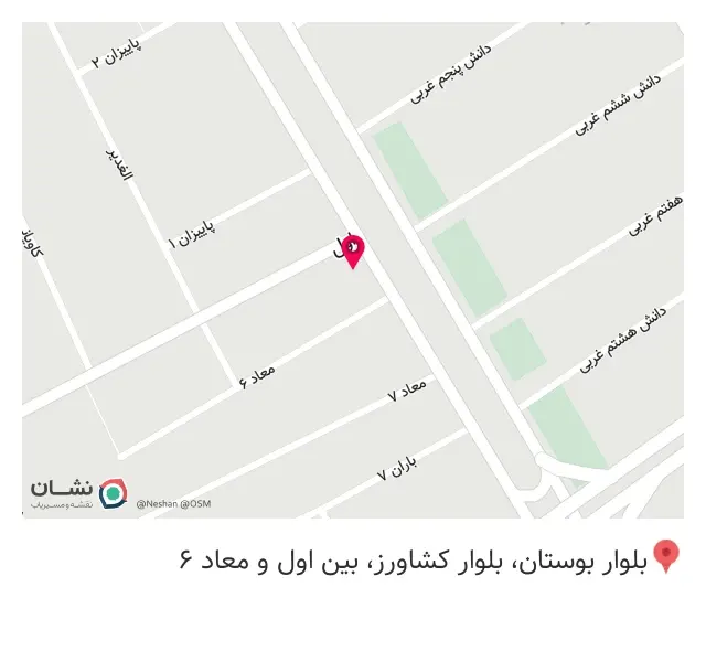 نانو کارواش داریوش