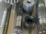 دنده زنی قربانپور