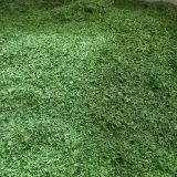 میوه و سبزی خشک باتیس