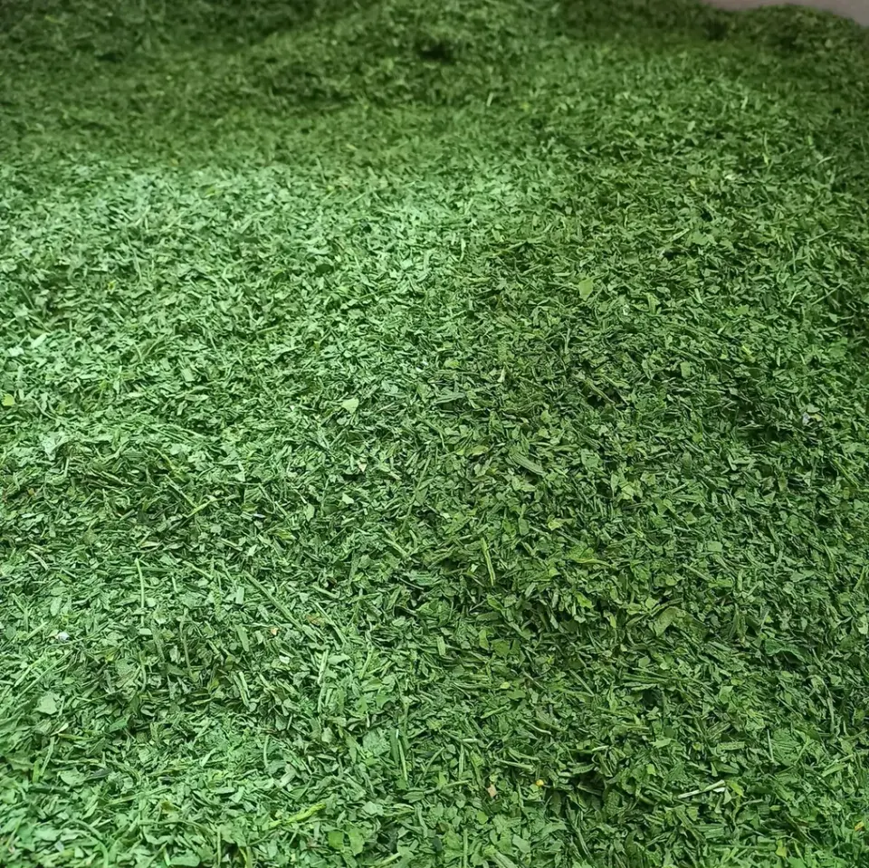 میوه و سبزی خشک باتیس