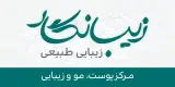 لیزر موهای زاید شهر قدس قلعه حسن خان