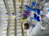 متخصص عطر و ادکلن