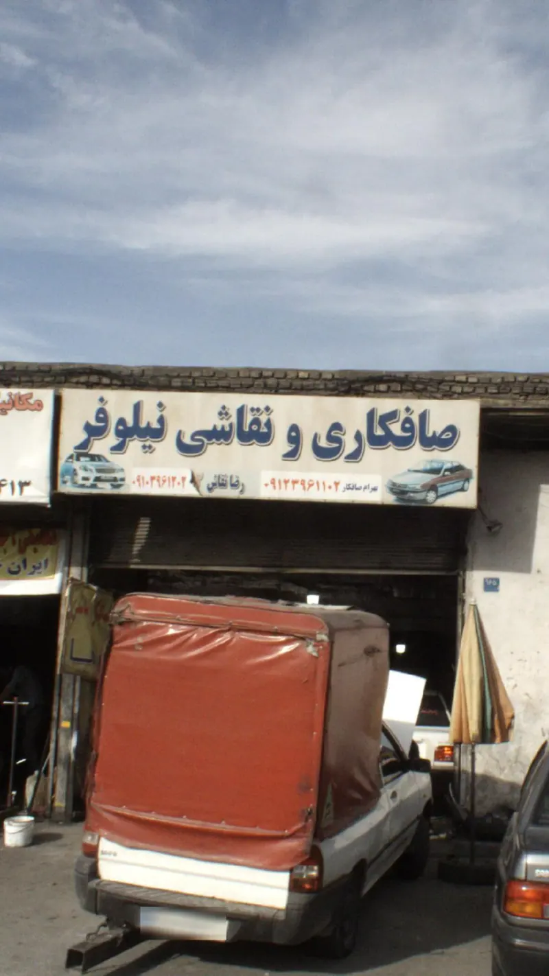 صافکاری و نقاشی نیلوفر