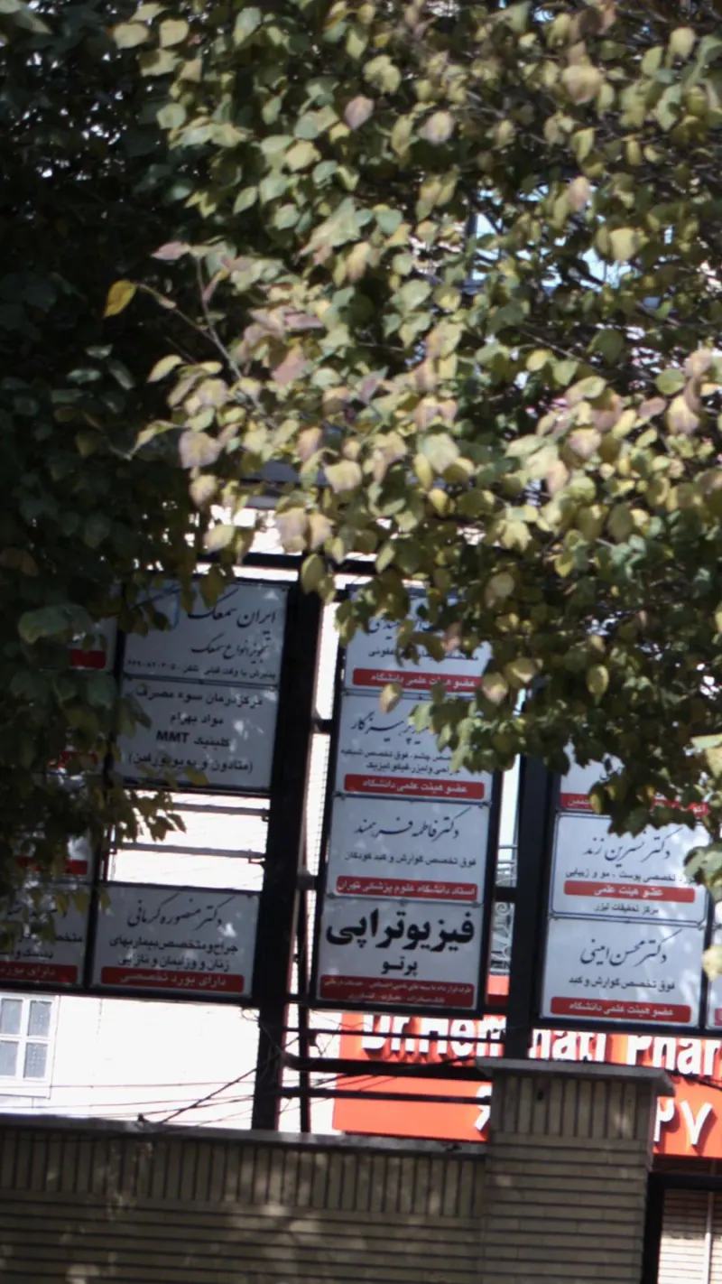 ایران سمعک نماینده ویدکس دانمارک