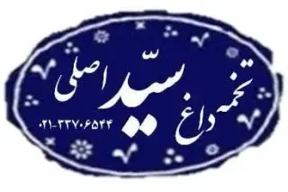 تخمه داغ سید اصلی