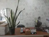 آشپزخانه دوستان