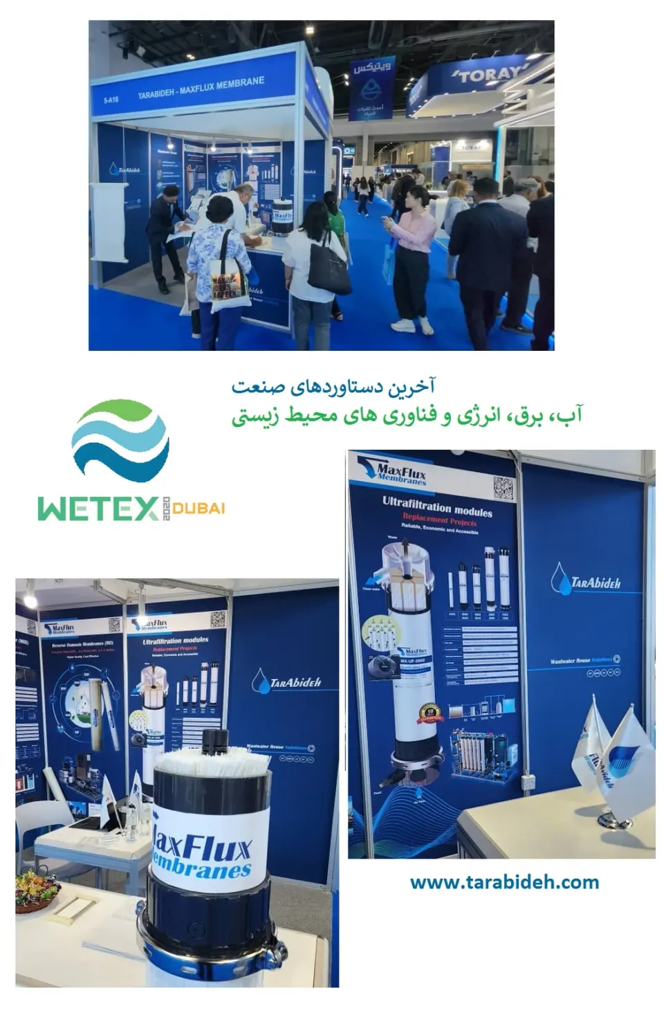 محبوبه ترکاشوند