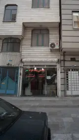 خیاطی زنانه بلوط سبز