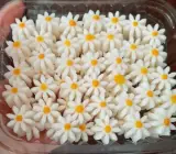 قندونبات شاهکار