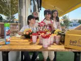 برگرهای تخصصی لاویا