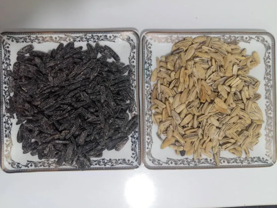 تخمه آفتابگردان خوی و کدو مغز گردو