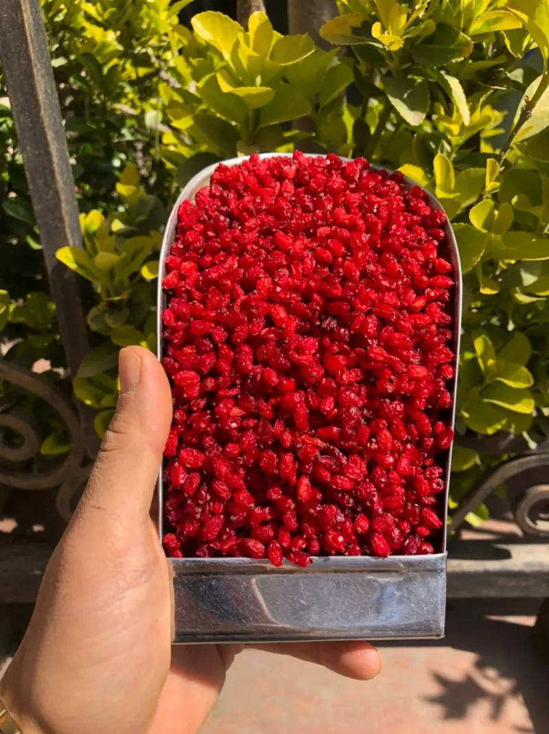زرشک و زعفران طلا