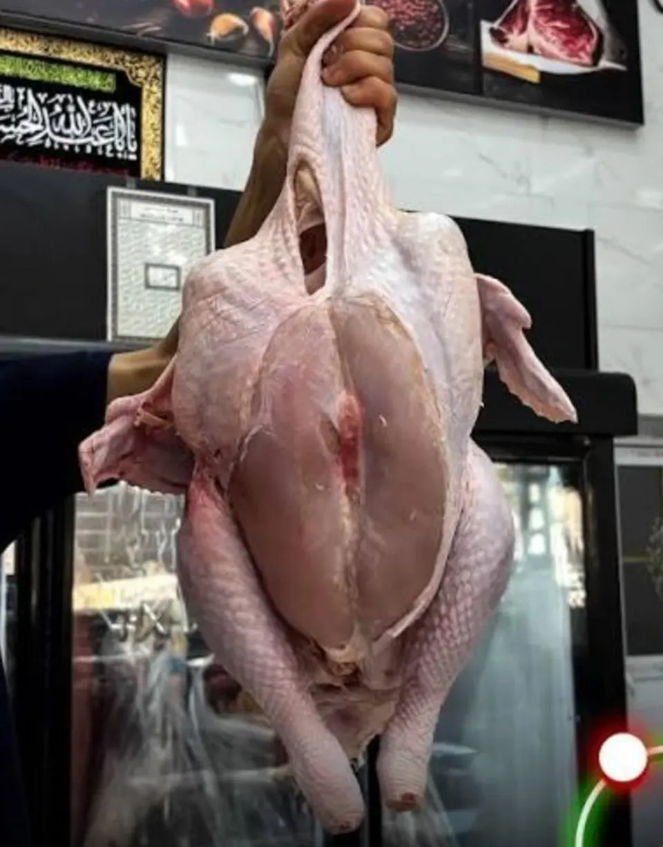 گوشتینو