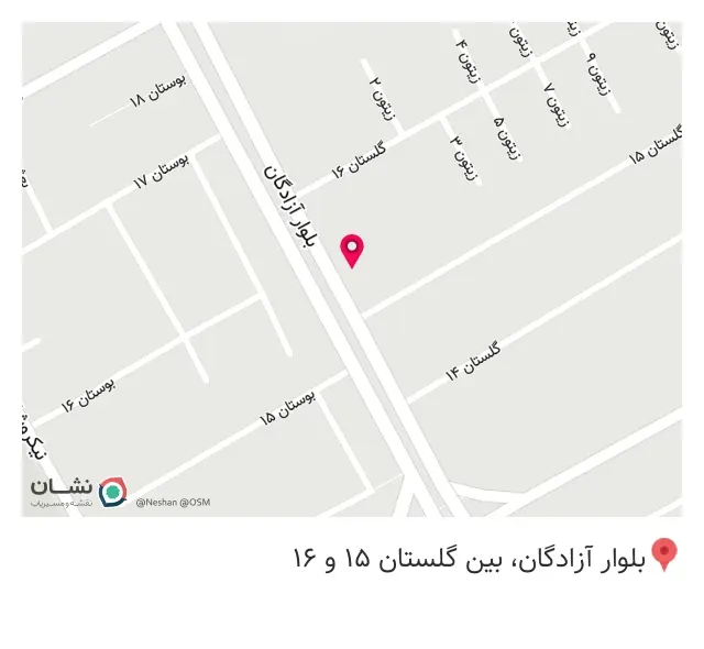 خدمات اتومبیل مکانیکی جلوبندی