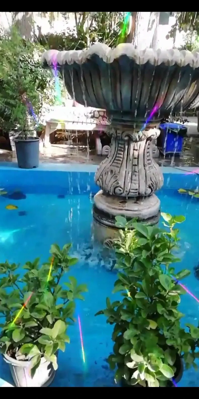 رستوران خانوادگی میلاد در فرحزاد